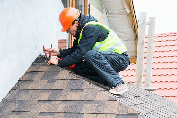 Best Local Roofing Companies  in Litchfield, IL