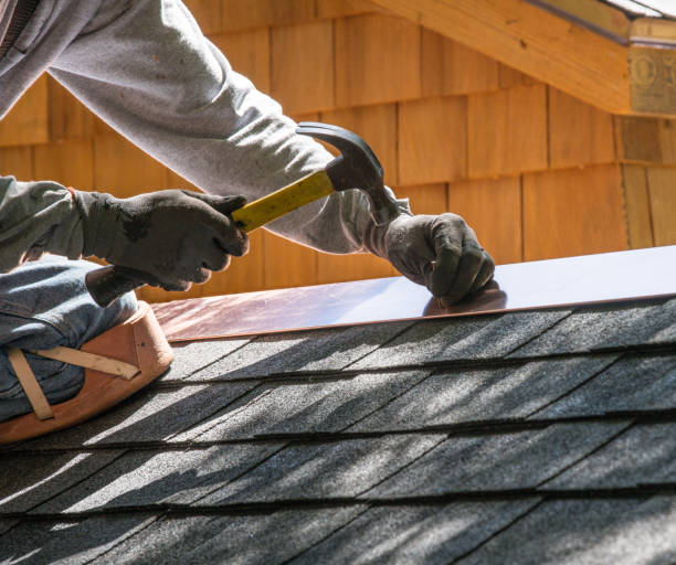 Best Metal Roofing Contractor  in Litchfield, IL